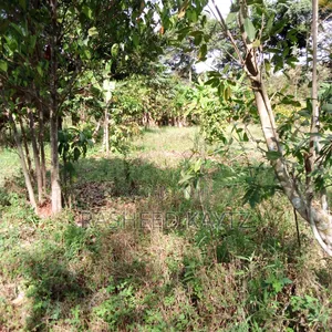 Land in Kirongo, Bugiri