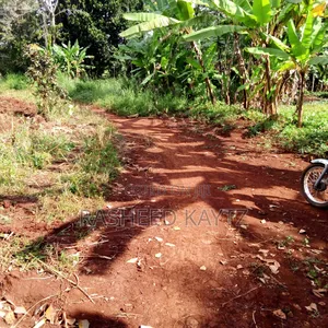 Land in Kirongo, Bugiri