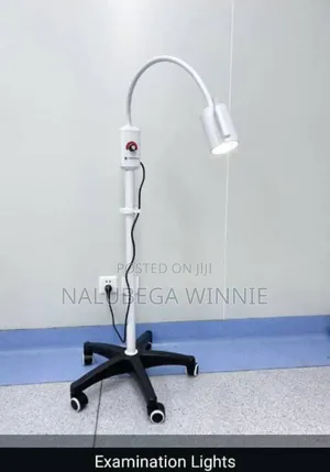 Examination Light