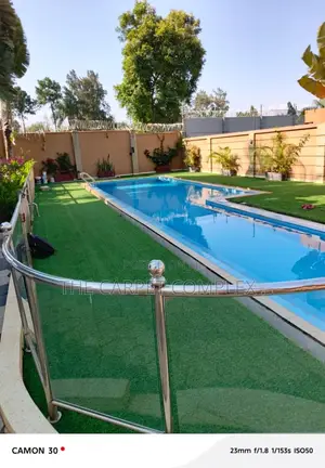 Swimming Pool Grass Carpets Squaremeter