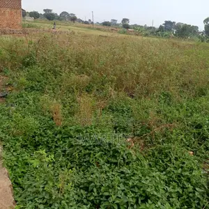 Plot for Sale 200 Meters From the Shores of Lake Victoria