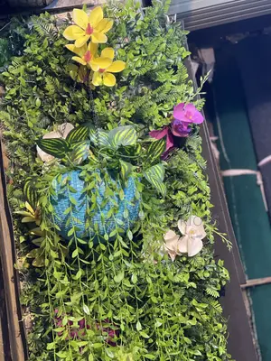 Wall and Swinging Plants