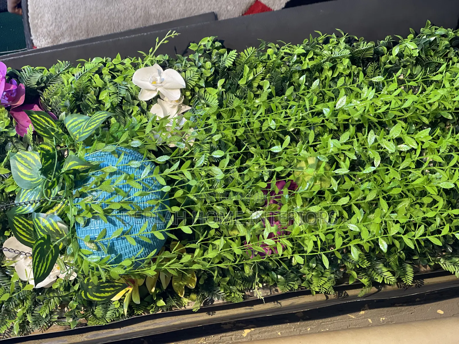 Wall and Swinging Plants