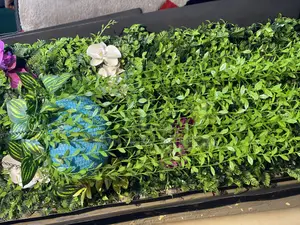 Wall and Swinging Plants
