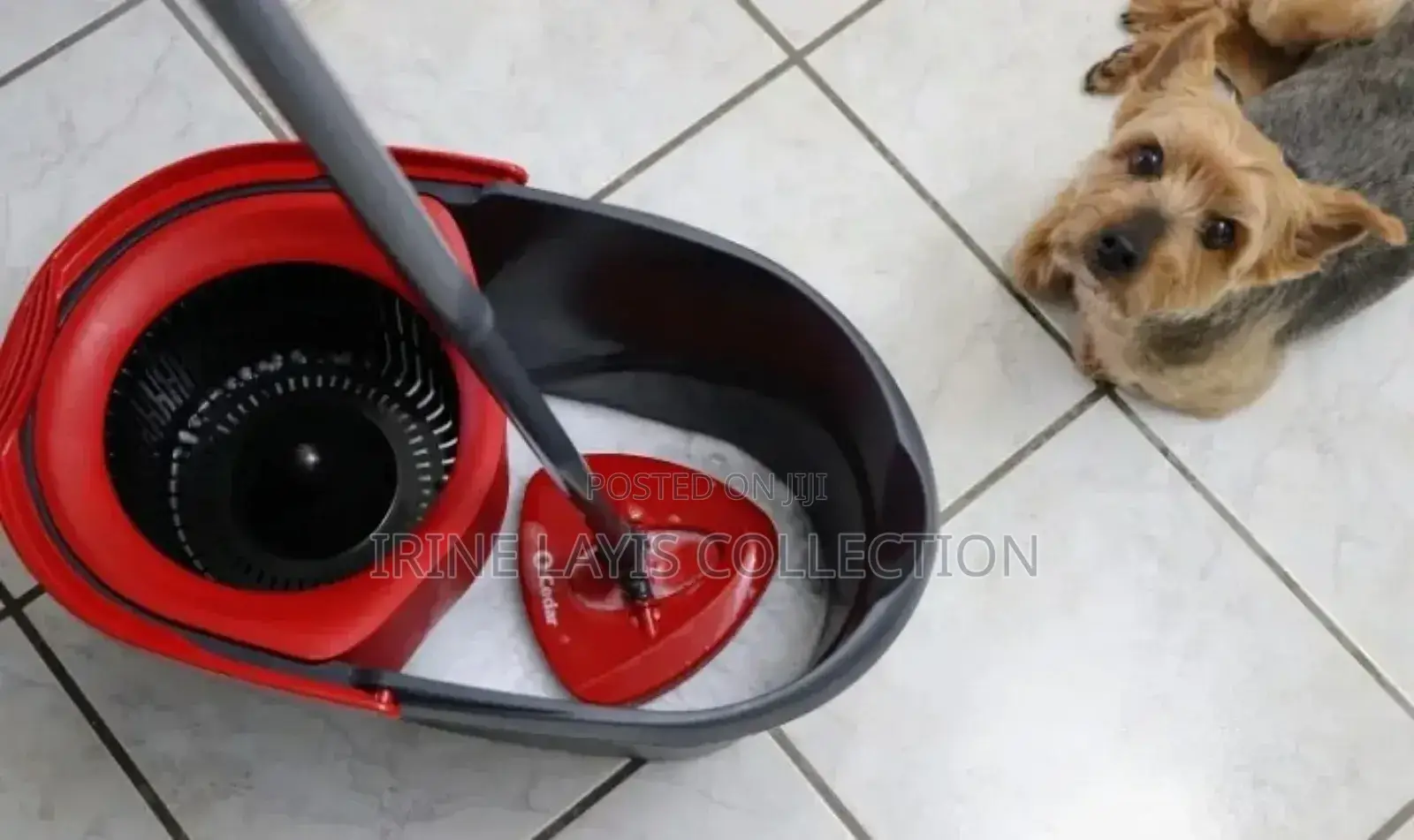 Spin Mop And Bucket
