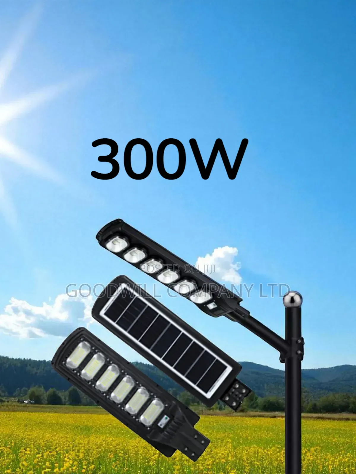 300w Solar Street Light Flamingo