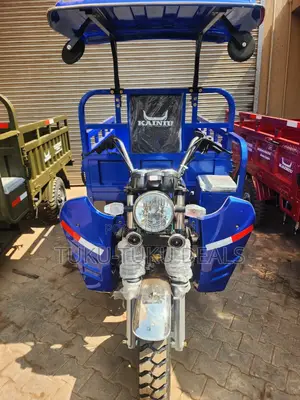 New Tricycle 2025 Blue