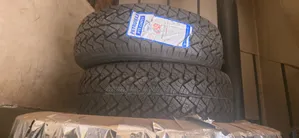 225/75r16 Petromax a/T