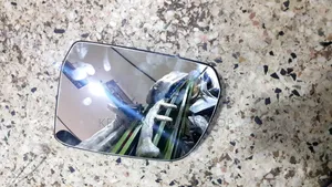Ford Raptor Sidemirror Plate