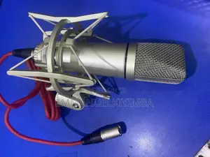 Sennheizer Studio Microphone
