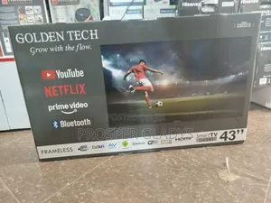 Golden Tech 43 Smart Digital Flat Screen Flameless.