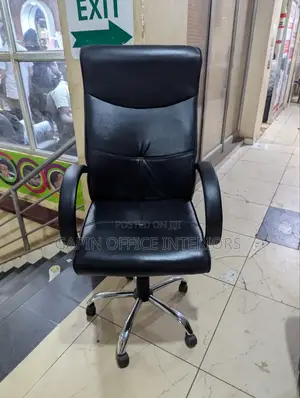 Long Back Adjustable Chair With Fixed Arms for Support