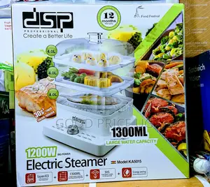 3layer Electric Steamer