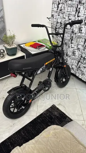 Hurricane Electric Bike