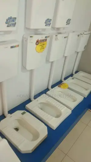 Toilet Squating