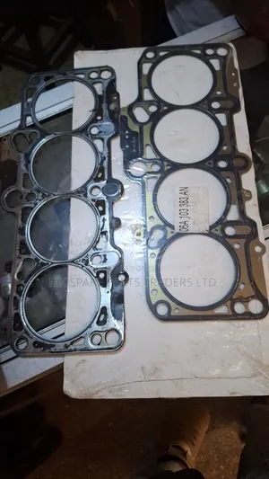 Touareg Engine Gaskets