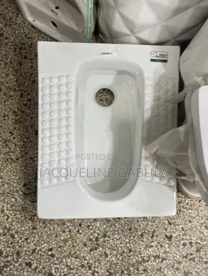 Squatting Toilet