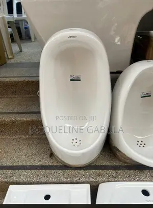 Urinal Toilets