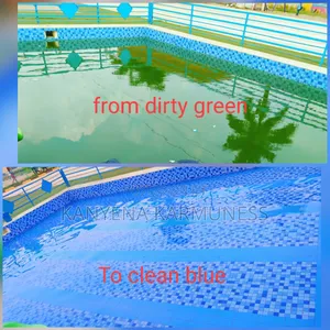 Swimming Pool Cleaning and Maintenance