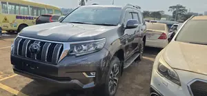 Toyota Land Cruiser Prado 2023 Gray