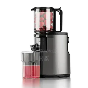 Saachi Slow Juicer
