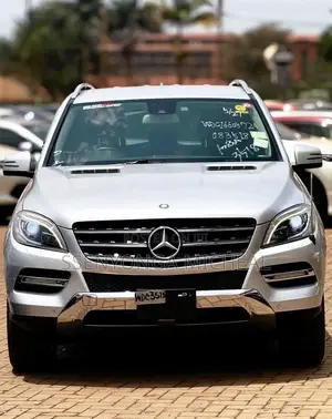 Mercedes-Benz M Class 2014 Silver