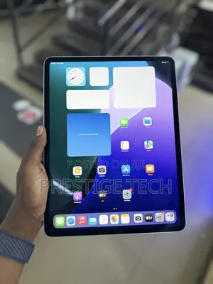Apple iPad Air 13 (2024) 256 GB Gray