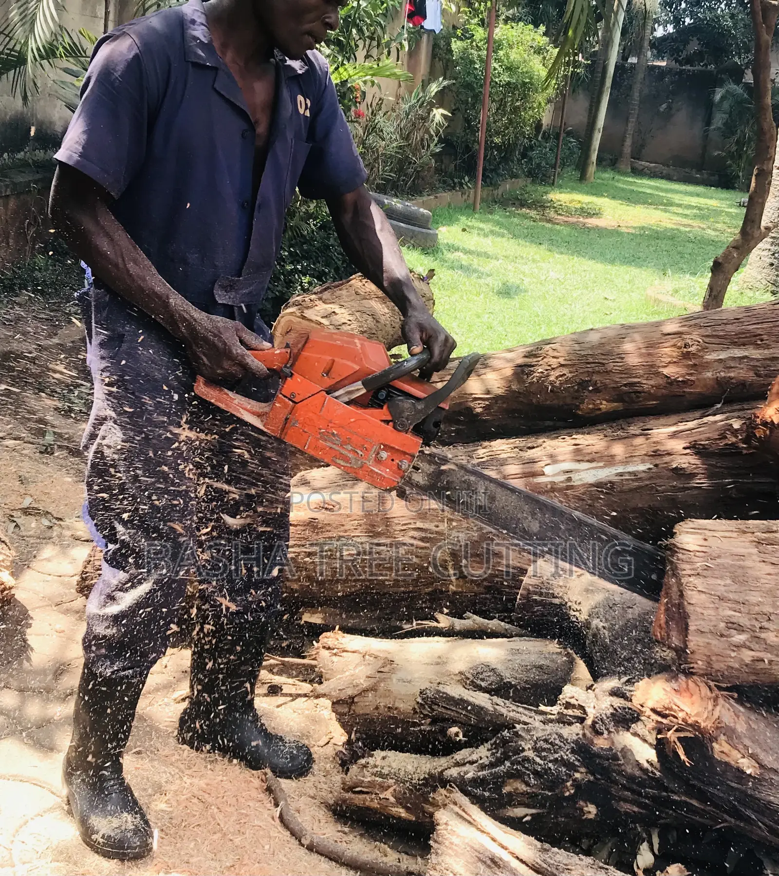 Tree Cutting Services