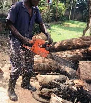 Tree Cutting Services