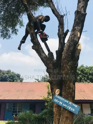Chopping Trees and Cutting Down