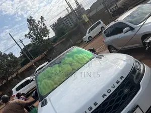 Chameleon Tint