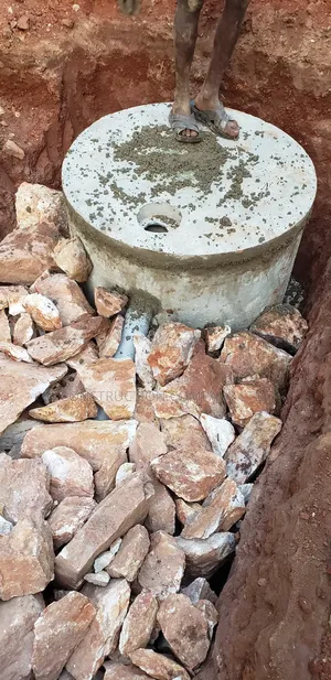 Biodigester That Will Wow You