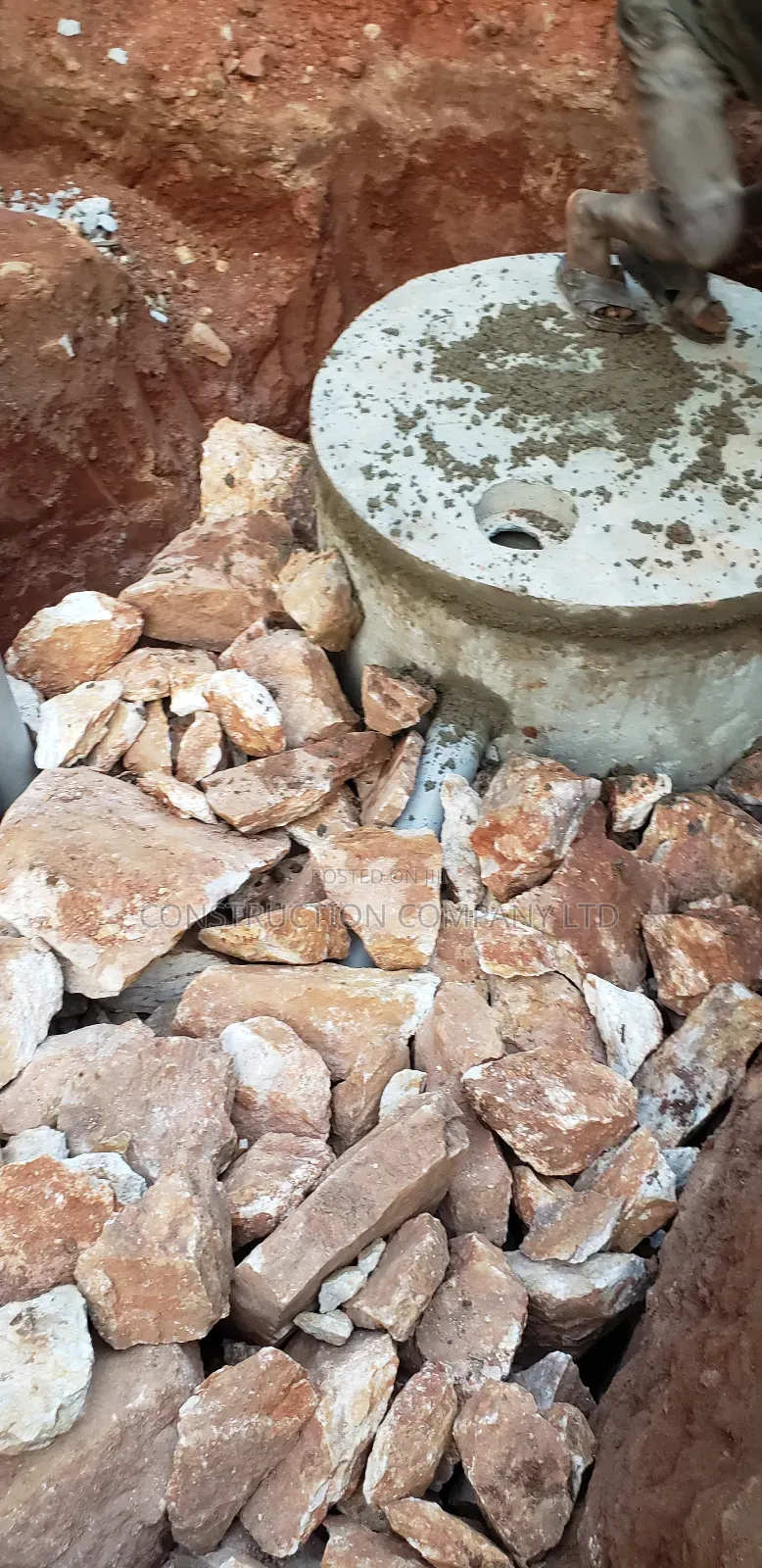 Biodigester That Will Wow You