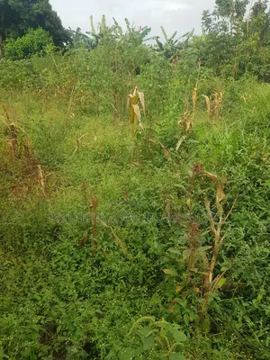 25 Decimals Land for Sale in Kanyanya, Near Mpelerwe Town