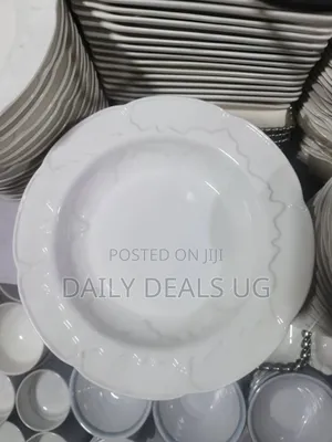 A Dozen of Ceramic Dinner Plates