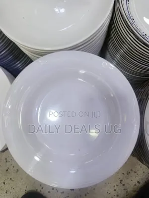 A Dozen of Melamine Dinner Plates