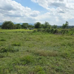 Land for Sale in Kayunga District