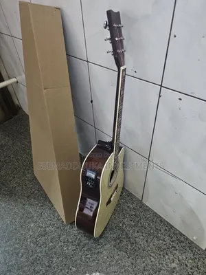 Acoustic Amplified Guitar