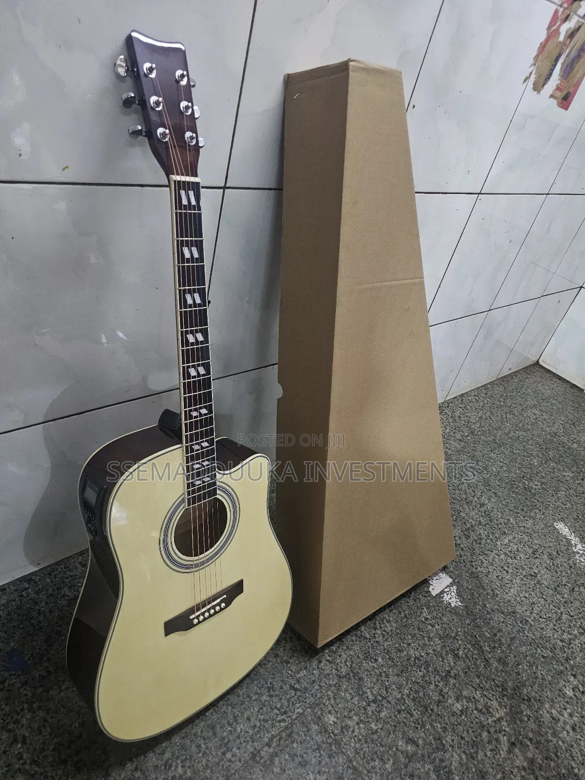 Acoustic Amplified Guitar