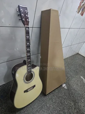 Acoustic Amplified Guitar