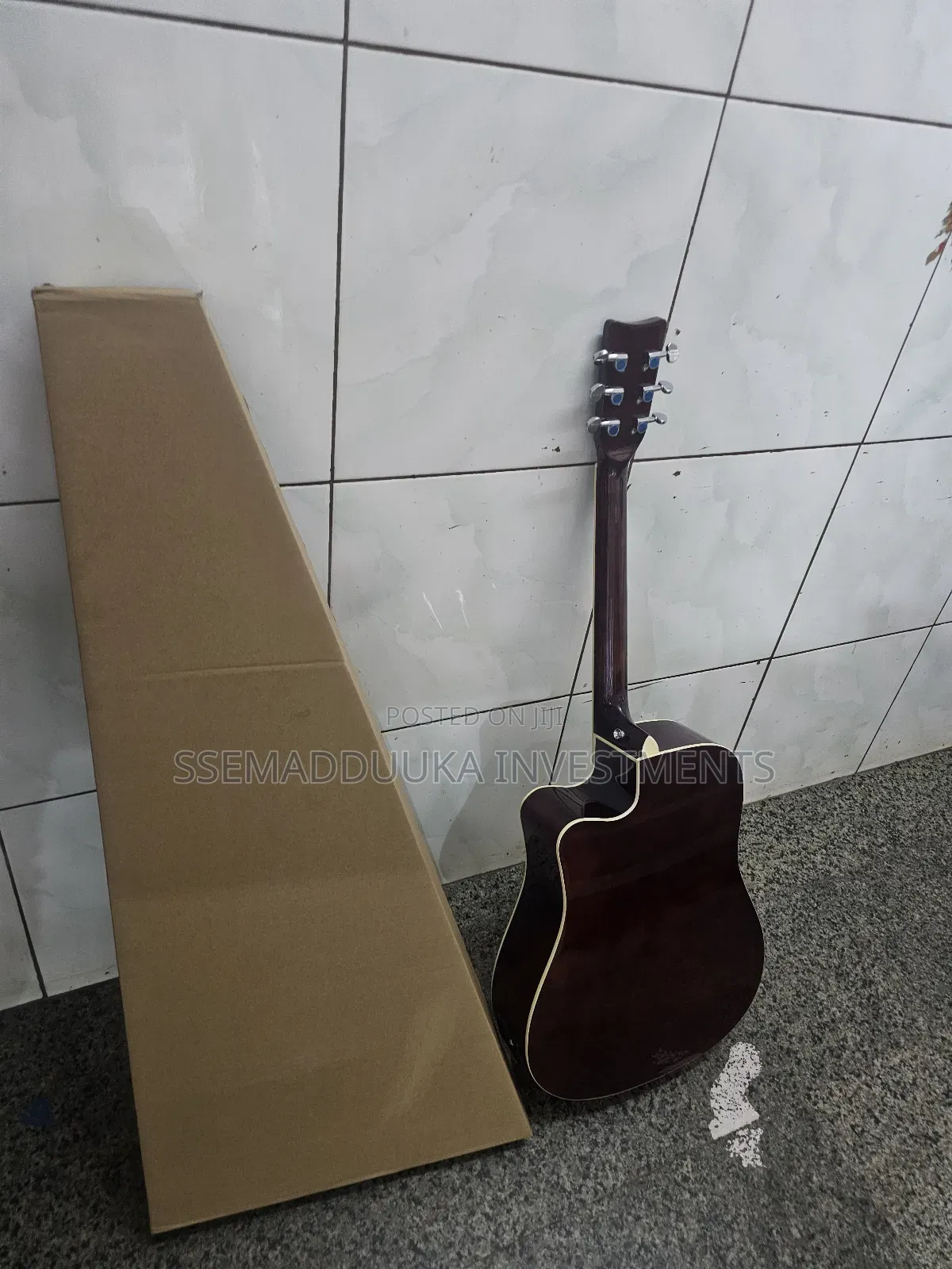 Acoustic Amplified Guitar