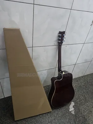 Acoustic Amplified Guitar