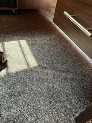 Single Coloured Carpets
