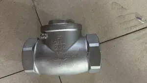 Stainless Steel Non Return Valve