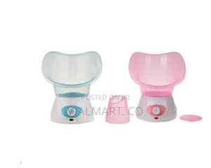 3 in 1 Electric Facial Steamer
