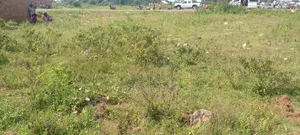 Plots for Sell