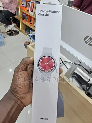 Samsung Galaxy Watch 6 Classic Lte Version 43mm Silver