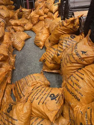 Timber Nails ( 50kgs From 2.5” —-6” )