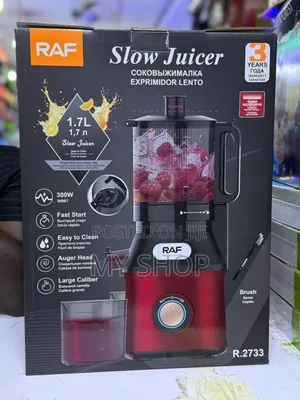 Slow Juicer