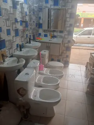 Toilets and Plumbing Accessories